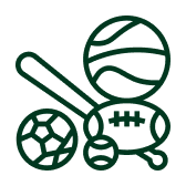 Sports Icon
