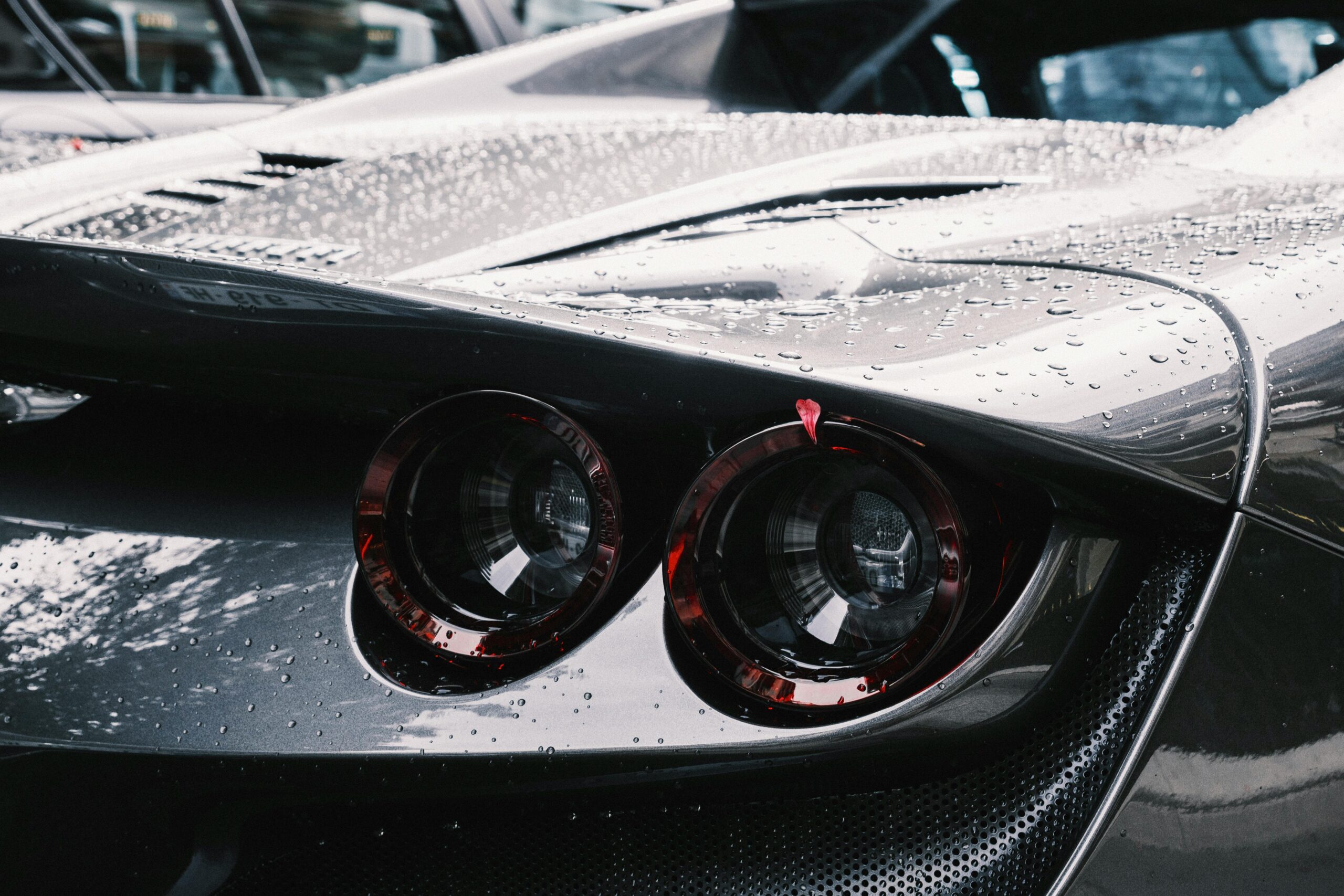 winter-protection-luxury-vehicles